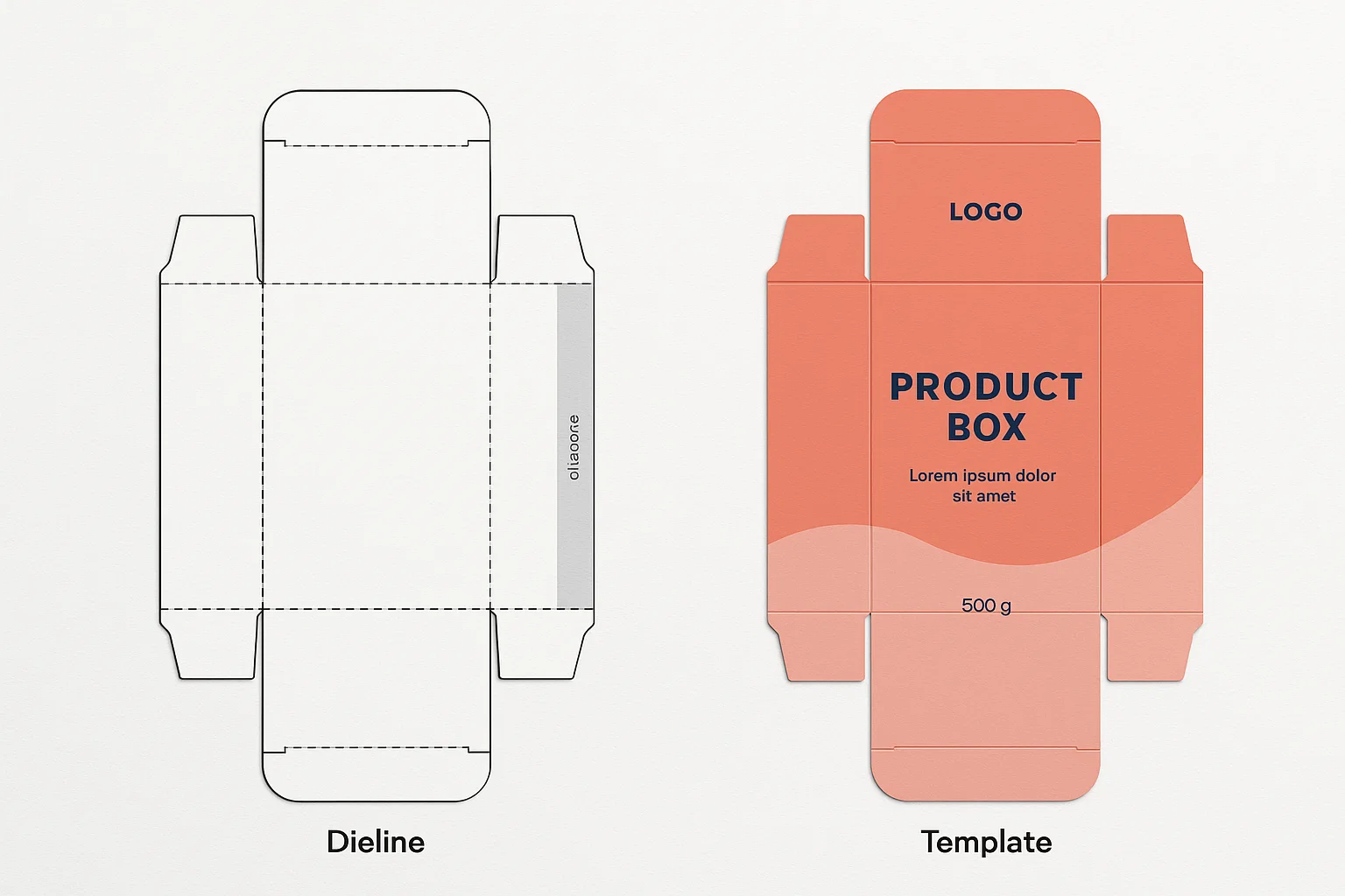 Dieline vs Template