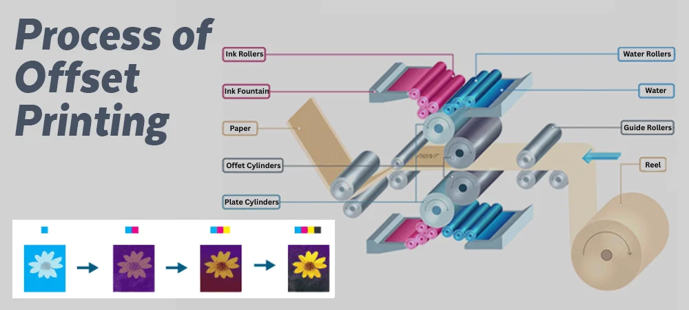 Process of Offset Printing